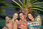 Spring Beach 2011 9415058