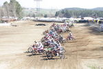 Motocross ÖM-Langenlois/ MX2 9430515