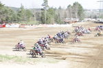 Motocross ÖM-Langenlois/ MX2 9430520