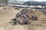 Motocross ÖM-Langenlois/ Auner Cup 9431240