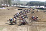 Motocross ÖM-Langenlois/ Auner Cup 9431241