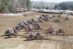 Motocross ÖM-Langenlois/ Auner Cup 9431243