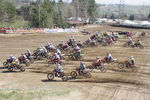 Motocross ÖM-Langenlois/ Auner Cup 9431245