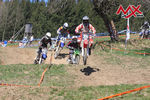 MX-Cup Austria Scharnstein/ Senioren/ MX-Jugend 9432768