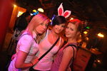 Bunny Night 9492565