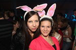 Rabbit Rave Party 9492863