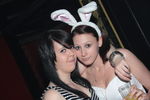 Bunny Party 9498145