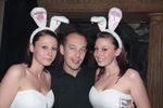 Bunny Party 9498147