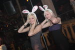 Bunny Party 9498199