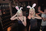 Bunny Party 9498200