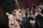 Bunny Party 9498202