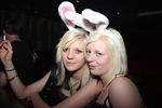 Bunny Party 9498253