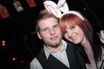 Bunny Party 9498339