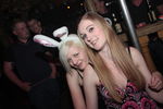 Bunny Party 9498373