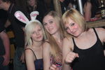 Bunny Party 9498377