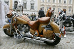 Harley & Chopper Benefizevent Steyr/Bad Hall  9516576