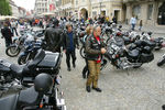 Harley & Chopper Benefizevent Steyr/Bad Hall  9516690