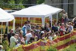 Motorsport-Show Julbach 9595086