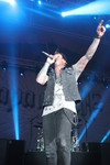 Papa Roach & Skindred - Open Air 9687881