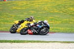 Ducati Days/Gruppe8 9770158