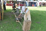 Mittelalterfest 9793248