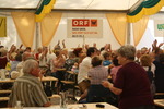 Wiener Wiesn 2011 9929210