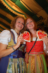 Wiener Wiesn 2011 9937028