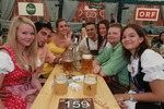 Wiener Wiesn 2011 9943743