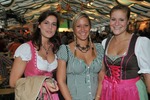 Wiener Wiesn 2011 9952457