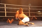 1. Braunauer Fight Night MMA Freefight - Thaiboxing 9952680