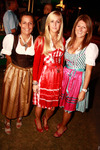 Wiener Wiesn 2011 9954097