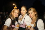 Wiener Wiesn 2011 9954666