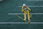 FIS Skisprung Sommer Grand Prix 2011  9960913