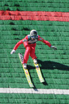 FIS Skisprung Sommer Grand Prix 2011  9961008