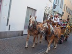 Brot- und Strudelmarkt in Brixen 9971311