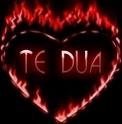 ~♥~♥~♥~ Te DuA ~♥~♥~♥~