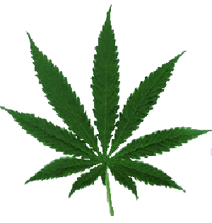 Gruppenavatar von Es CANNABISsal mehr sein!!