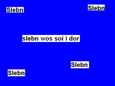 slebn wos soi i dor