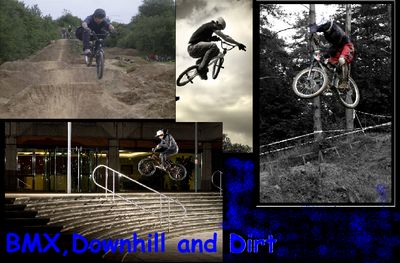 Dirt,Downhill and BMX Rider