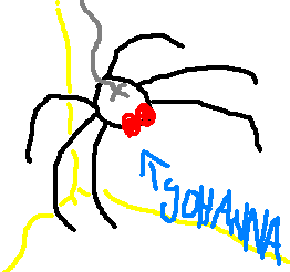 Gruppenavatar von a spinne sitzt in der ecke und kommt drauf dass johannna heißt.
