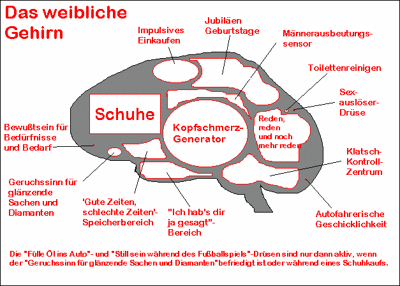 Gruppenavatar von Männer mögen ja das Gehirn im Schwanz haben, aber Frauen haben nicht einmal das!