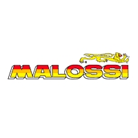 Gruppenavatar von ~| Malossi!!! Alles andere ist Nachbau!!! |~