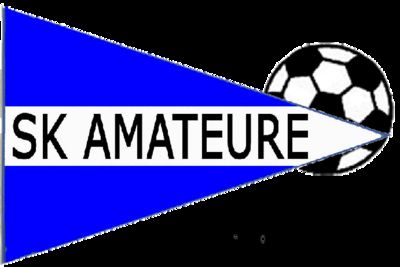 Gruppenavatar von sk amateure steyr 4-ever