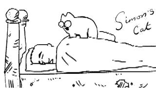 Gruppenavatar von Simon's Cat