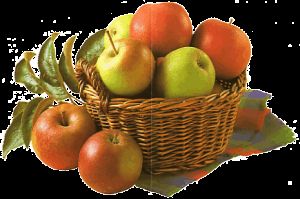 Gruppenavatar von Vitaminreicher & Naturtrüber Apfelsaft :D