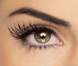 Gruppenavatar von *°°Wimpernverlängerung AKTION - Lashes Cult°°*