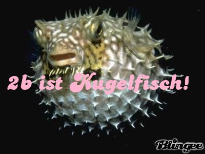 Gruppenavatar von 3b ist Kugelfisch!