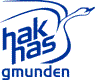 Gruppenavatar von .·:*¨¨HAK Gmunden