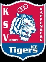 KSV-IceTigers-Group