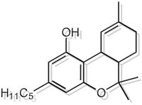 Party Party Party im Cannabisbeet